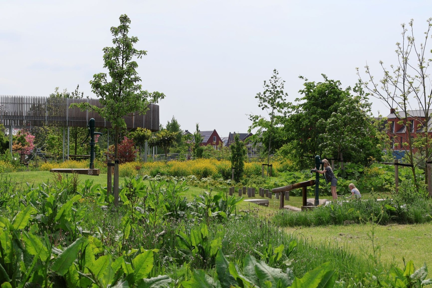 Voedselbos Rijnvliet boomgaard